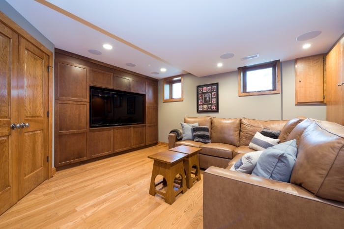 media and home theater room